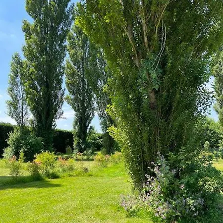 Campsite Domaine Des Epinettes